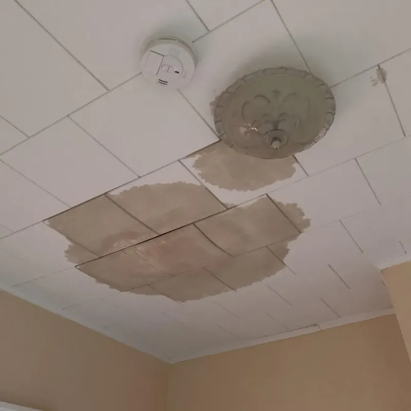 Ceiling Water Damage Repair in Lynchburg, OH