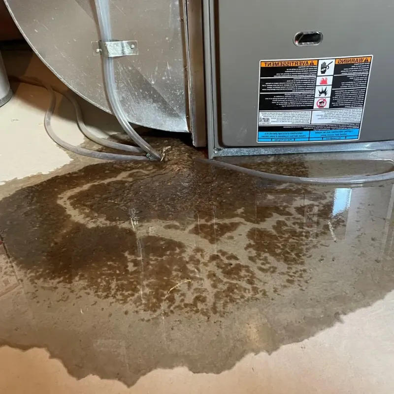 Pipe Burst and Leak Restoration in Lynchburg, OH
