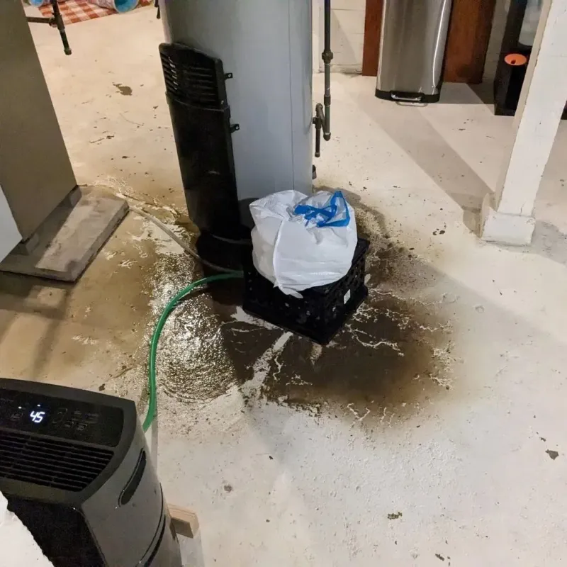 Sewage Backup Cleanup Service in Lynchburg, OH